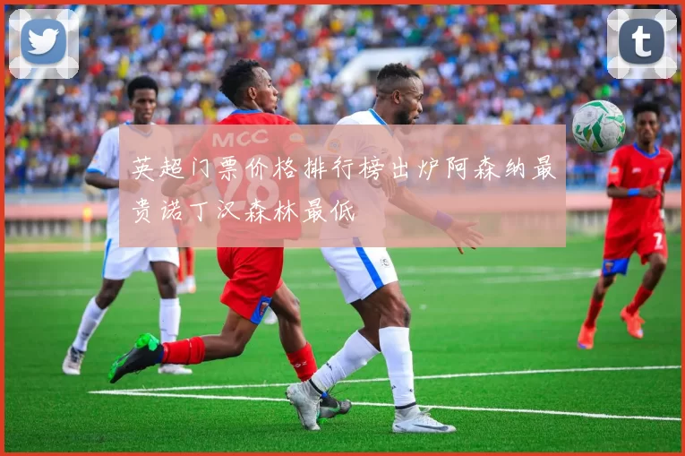 英超门票价格排行榜出炉阿森纳最贵诺丁汉森林最低